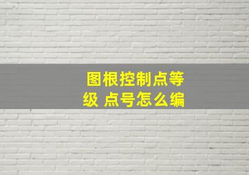 图根控制点等级 点号怎么编